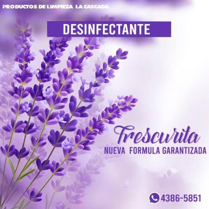 Productos de limpieza la Cascada